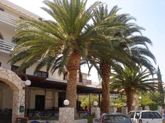 Restoran na plaži